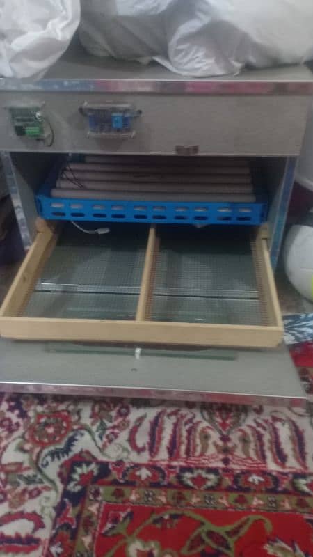 hen incubator  2 months used 0