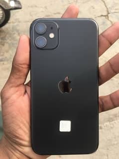 iPhone  11