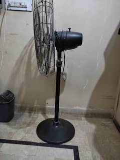 Royal Pedestal Fan