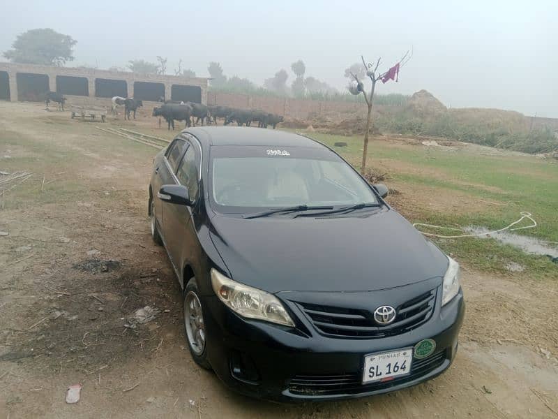 Toyota Corolla XLI 2011 5