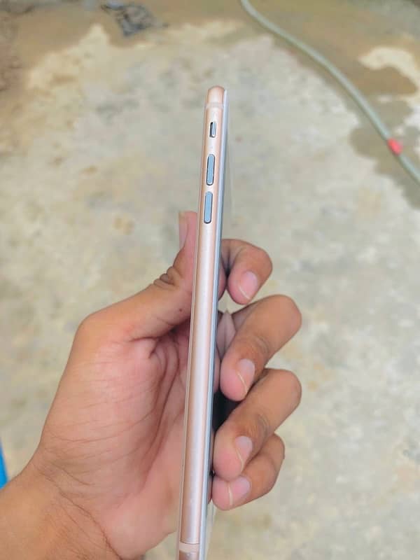 i phone 8 plus 2