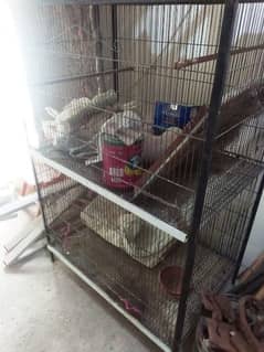 cage for sale