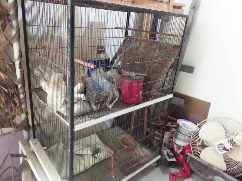 cage for sale 1