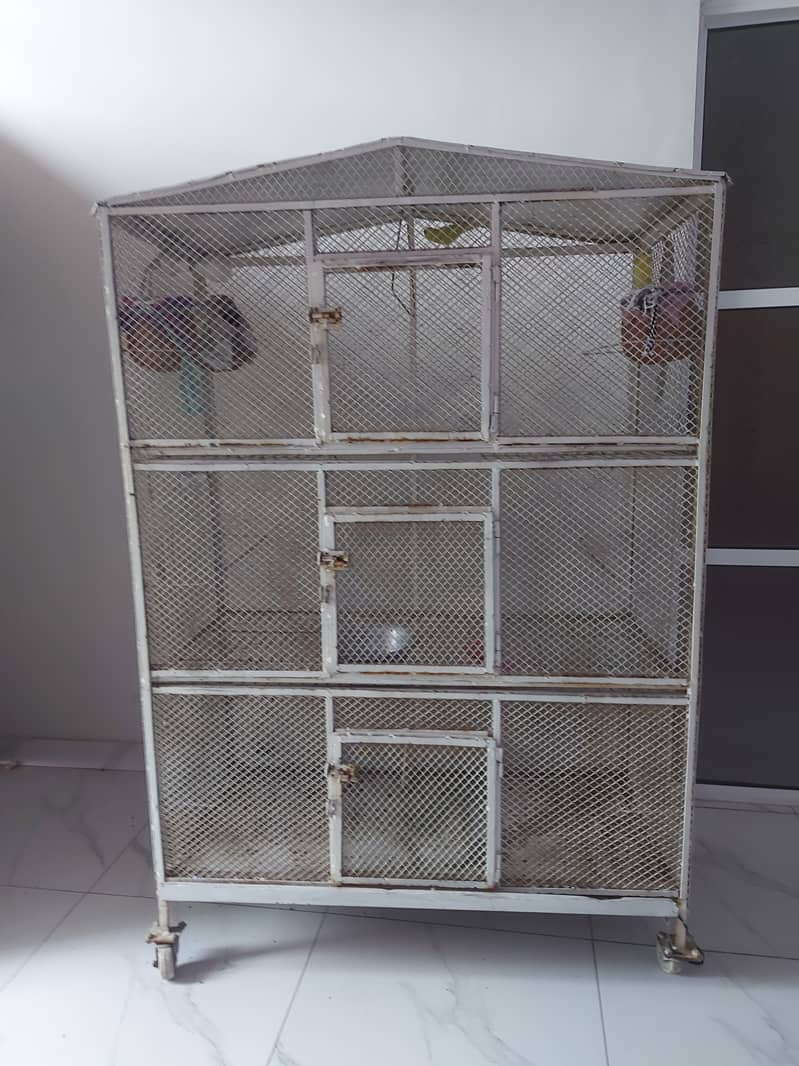 parrot cage 2