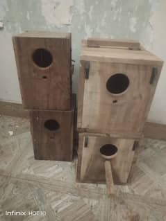 love birds box