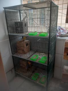 Cage for sale with parrots