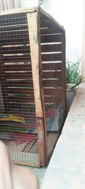 Birds Cages Urgent for sale 2