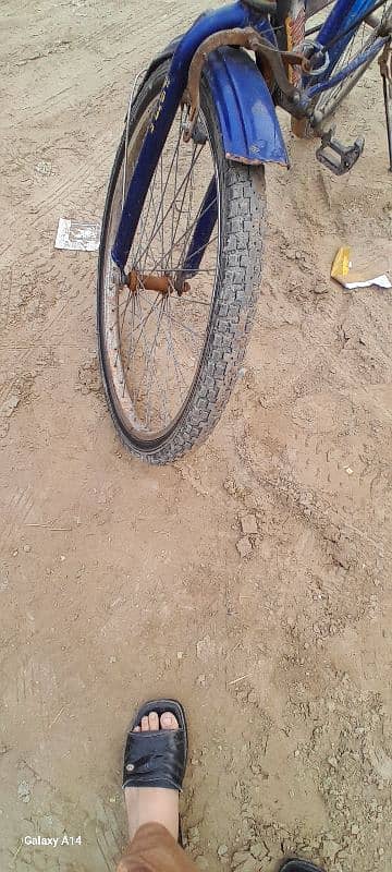 bicycle arjent for Rs. 7000 1