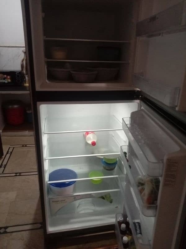 freezer 1