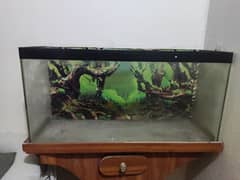 Fish Aquarium with pump