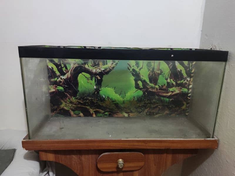 Fish Aquarium with pump 0