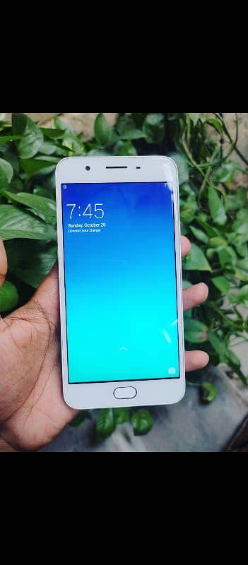 Oppo F1S 4/64, 10/10, PTA Approved, Fingerprint, nyc Camera 1