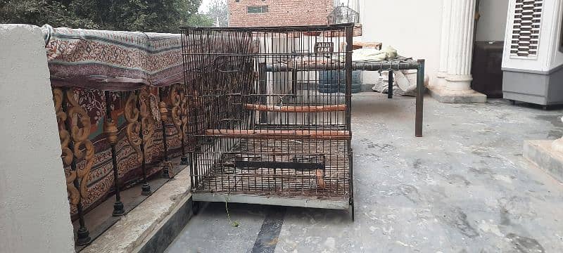 2*2*4 zarar solid foldable cage 1