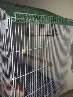 only cage for sale