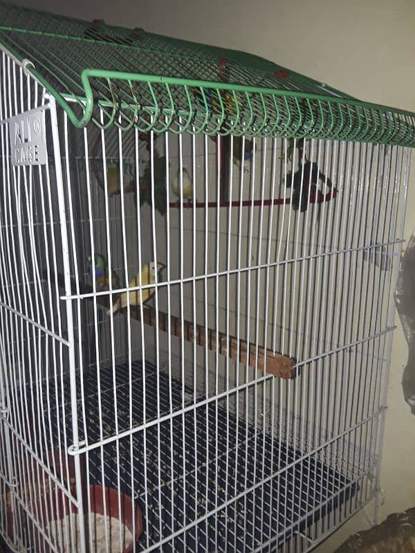 only cage for sale 0