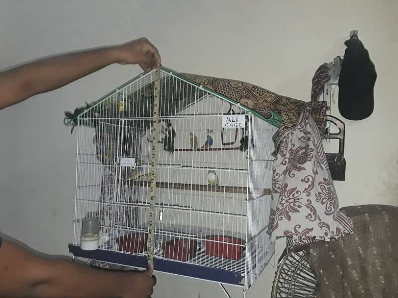 only cage for sale 4