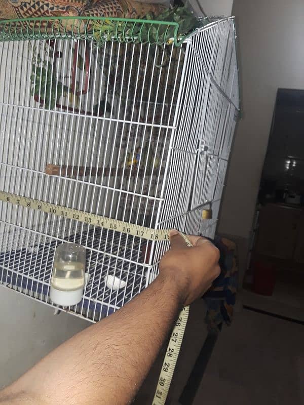 only cage for sale 6