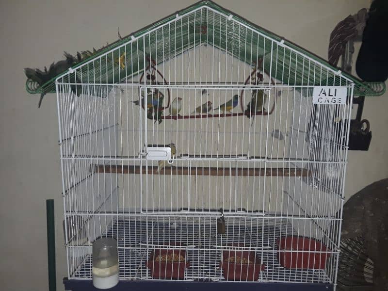 only cage for sale 8