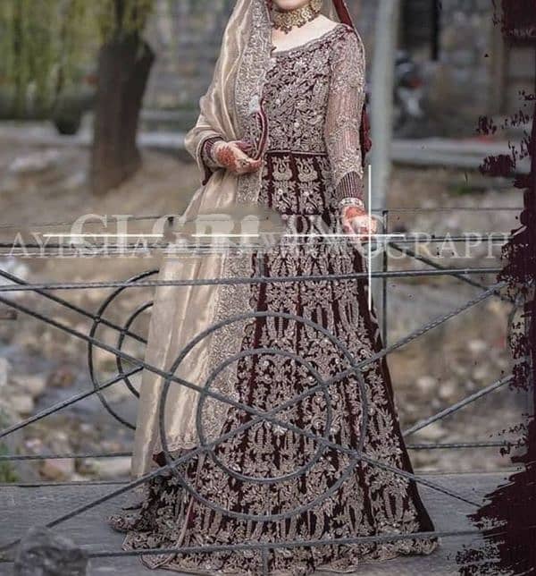 bridal velvet lehnga 3