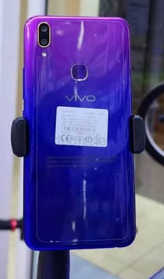 VIVO