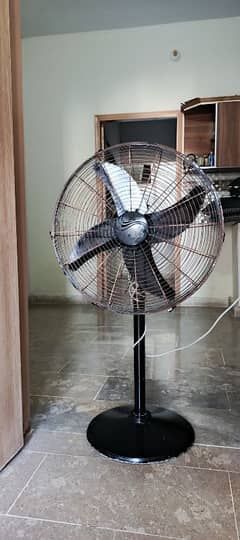 Rado fan for sale