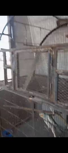 Extra Large Cage for Birds