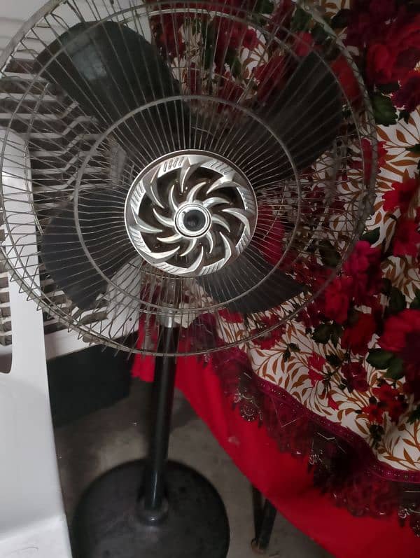 shabaz Asia original fan floor medium size fan 1