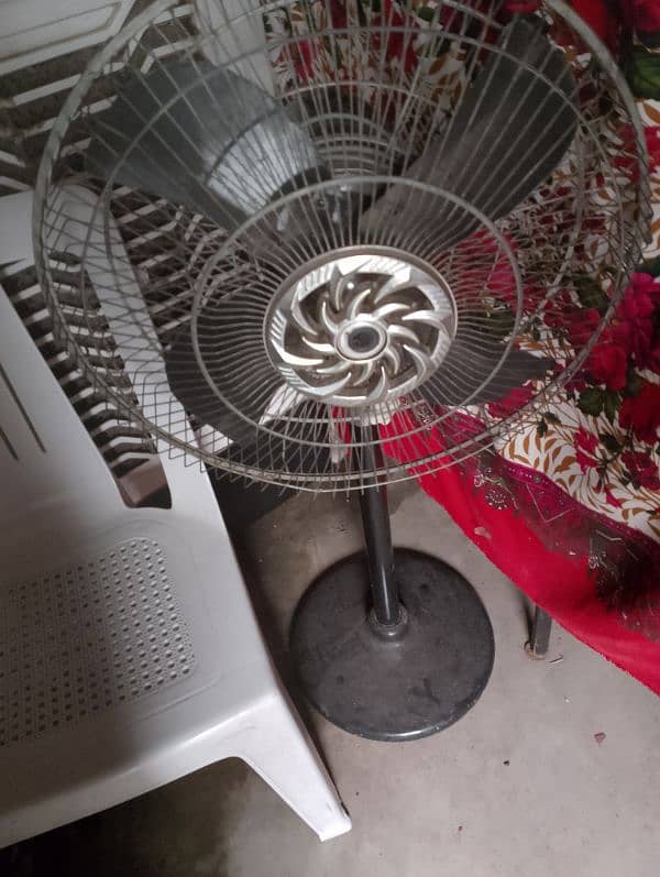 shabaz Asia original fan floor medium size fan 2