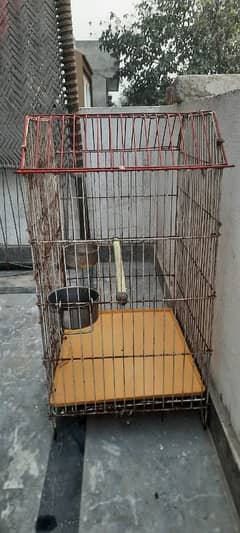 master cage with metal feeder