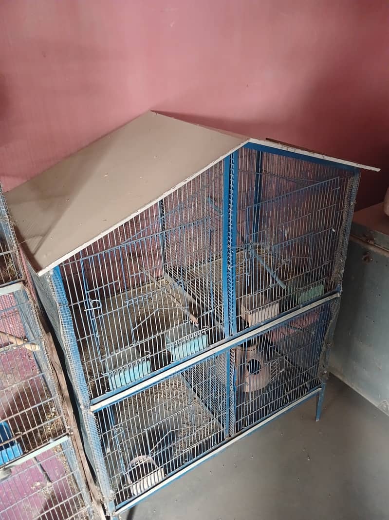 Cage 4 sale 4