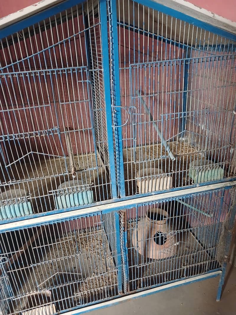 Cage 4 sale 5