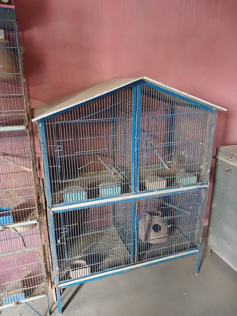 Cage 4 sale 6