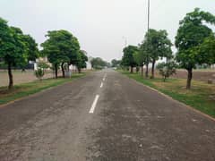 5 Marla Plot For Sale In N-Block Khayaban e Amin Society