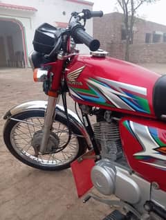 Honda 125 23/24 model APL FOR.