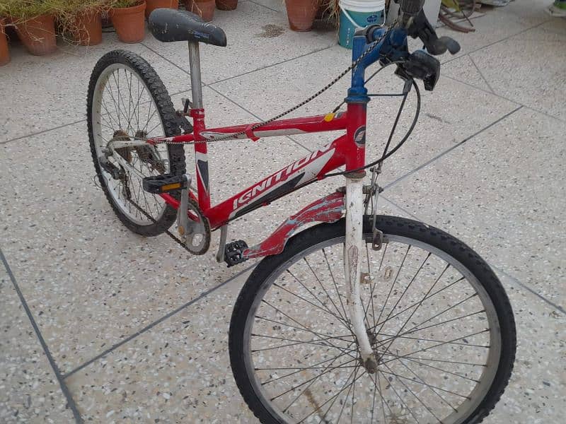 Ignition Bicycle 5