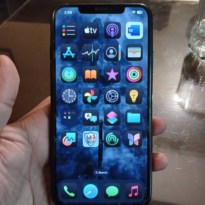 Iphone 11 Pro Max  | 10by10 Lush condition 0