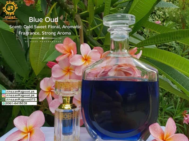 blue oud 1