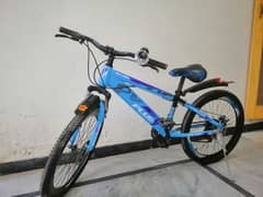 MTB Cycle