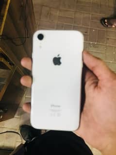 iphone xr pta approve