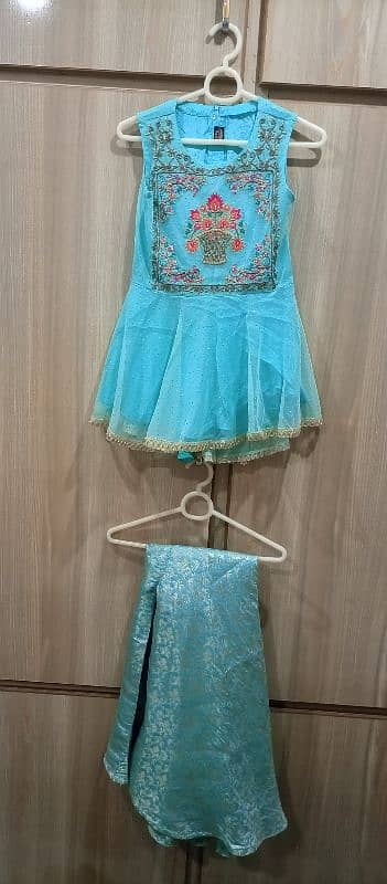 Minnie minor party wear zaari work 2