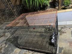 heavy cage for hens/bug parrots