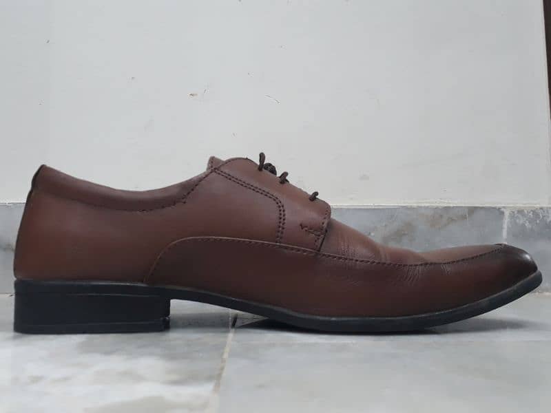 Calvino Shoes | Brown Shoes For Men 0