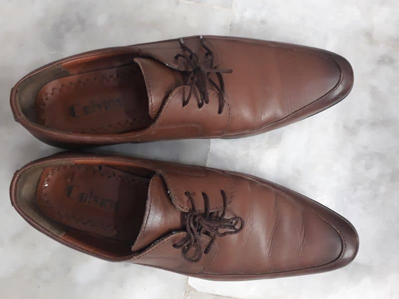 Calvino Shoes | Brown Shoes For Men 1