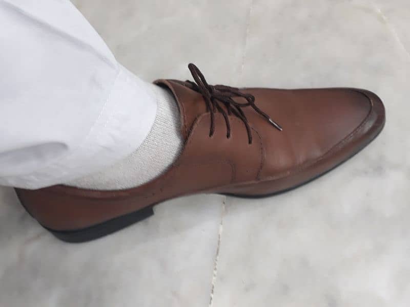 Calvino Shoes | Brown Shoes For Men 2