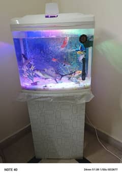 Fish Aquarium For Sale