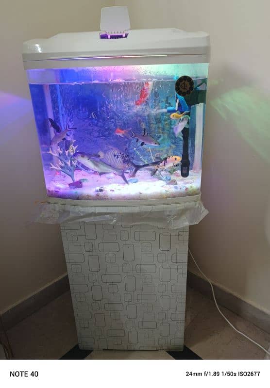 Fish Aquarium For Sale 0