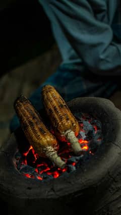 دیسی چھلئ