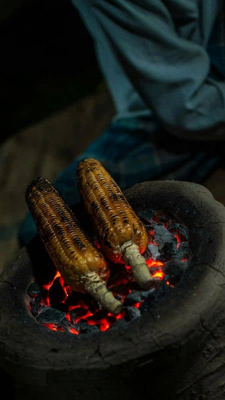 دیسی چھلئ 0