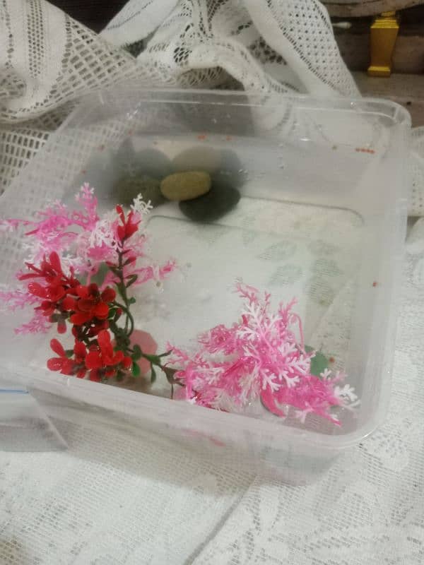 plastic Aquarium with decoration 1