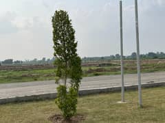 Prime Location 5 Marla Plot For Sale In G-1 Block Jinnah Sector Lda City Lahore